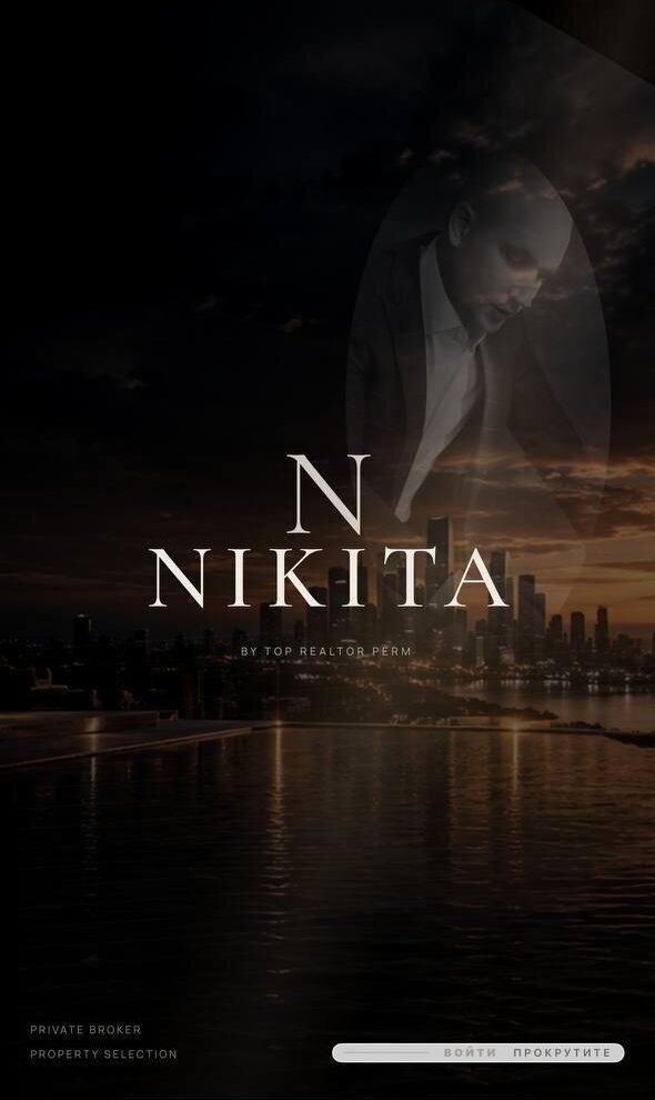 Nikita Dryakhlykh website on mobile